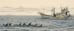 Taiji | Seasonal Results